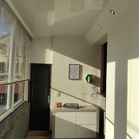 Danton | Spacieux | Wifi | Parking | Proche Centre *